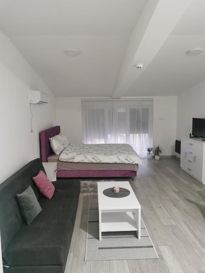 Studio Apartmani Banja Koviljača Zewnętrze zdjęcie